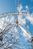Royal London Tour with The London Eye